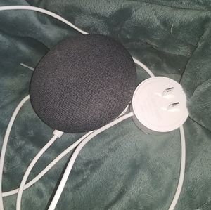 Google home mini